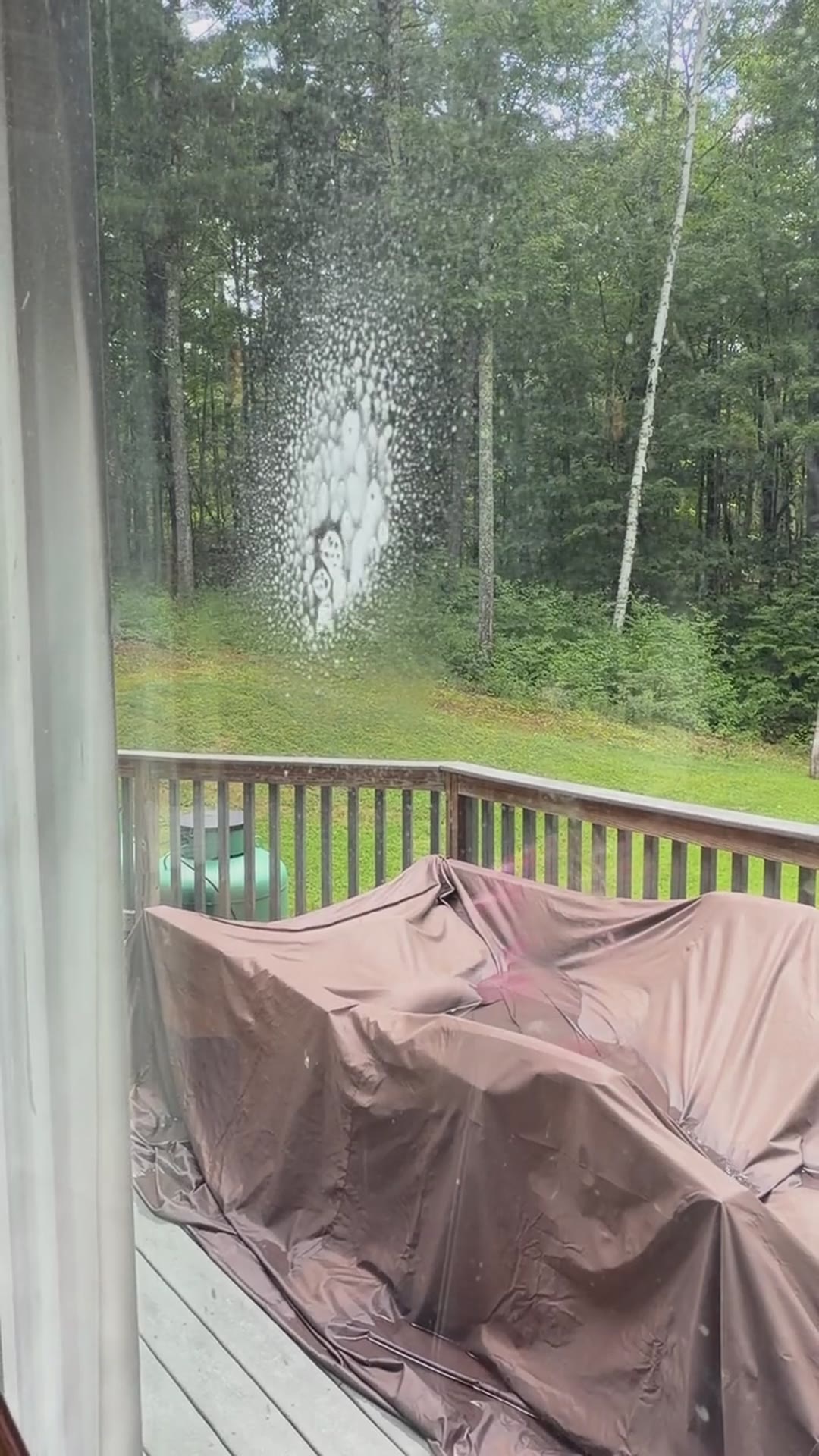 All-Purpose Spray on a glass deck door, trees behind it